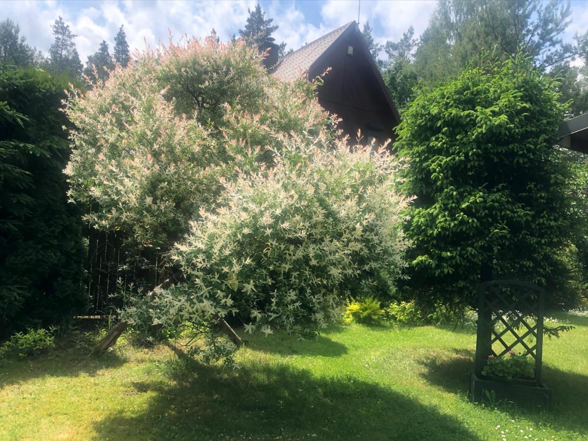 Dom Z Bali Villa Bajkowy Dom Dzwierzuty Exterior foto